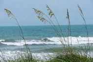 Aqua;Beach;Beaches;Blue;Botannicals;Coast;Coastline;Green;Ocean;Plant;Sand;Sea;S